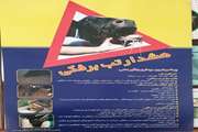 بروشور ترویجی در خصوص رعایت موارد بهداشتی و قرنطینه ای تب برفکی
